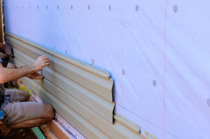 Is Insulated Viny SIding Worth It? (6 Benefits Of It)