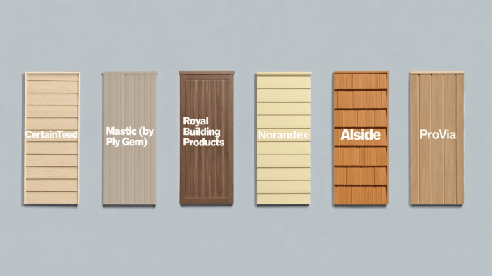 Best Vinyl Siding Brands, Color Choices, and Tips - The Martinnest