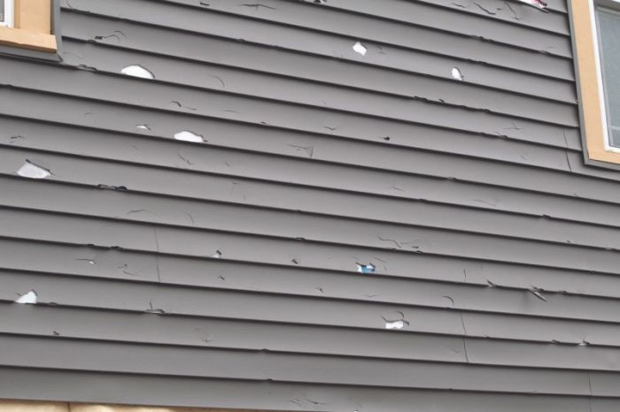Damaged Vinyl Siding Repair for Lasting Protection